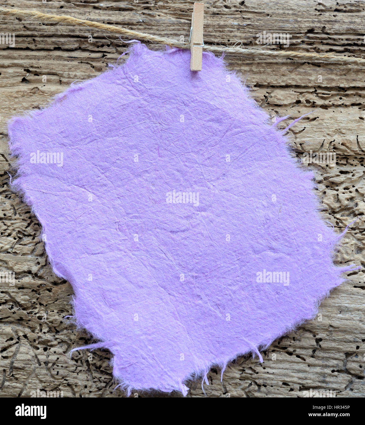 Carta viola nota su pioli, lo spazio per la copia Foto Stock