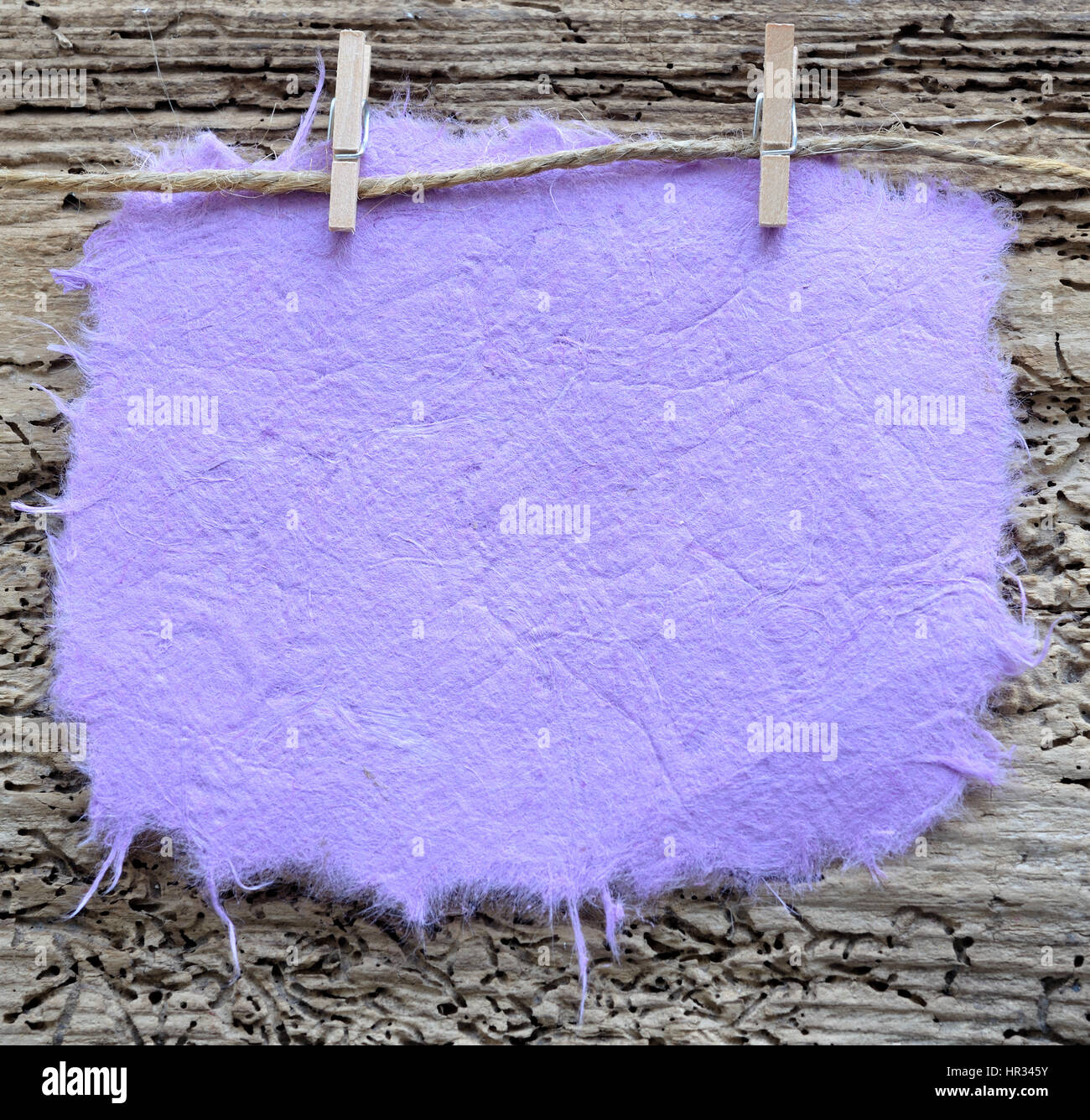 Carta viola nota su pioli, lo spazio per la copia Foto Stock