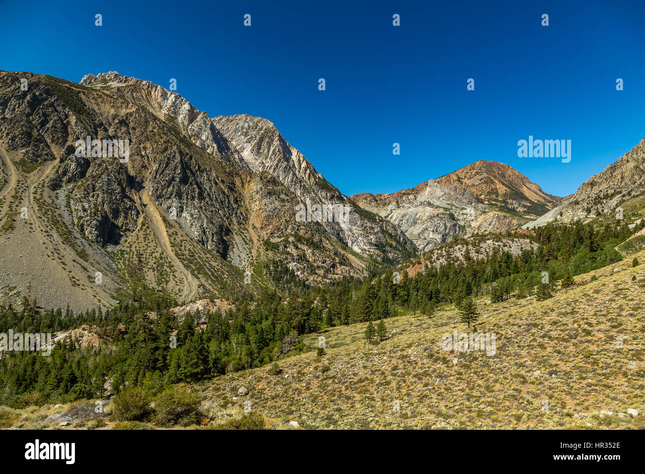 Tioga Pass (el. 9,943 m. ) È un passo di montagna nelle montagne della Sierra Nevada della California. Strada Statale Route 120 scorre attraverso di esso e che serve come la Pasqua Foto Stock