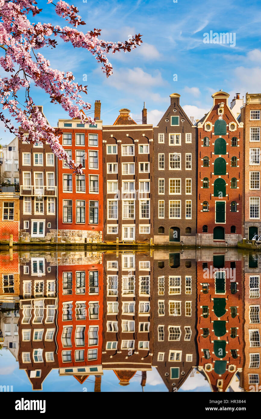 Vecchi edifici di Amsterdam a molla Foto Stock