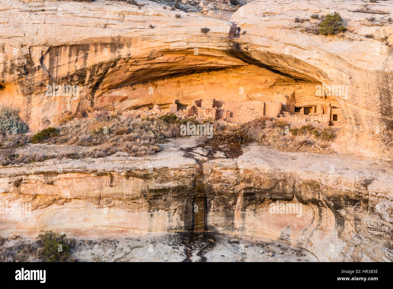 L'alcova principale di cliff dwellings in Butler rovine di lavaggio in Comb Ridge nella nuova porta orecchie monumento nazionale nel sud-est dello Utah. Foto Stock