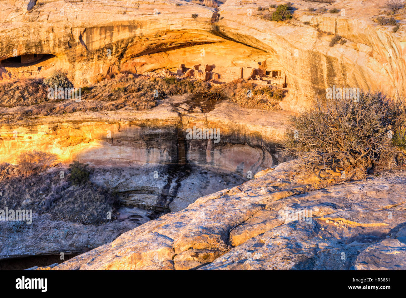 La luce del mattino sul cliff dwellings in Butler rovine di lavaggio in Comb Ridge nella nuova porta orecchie monumento nazionale nel sud-est dello Utah. Foto Stock