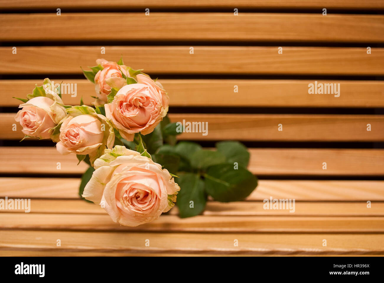 Rosa rosa bouquet closeup su una panca in legno sfondo Foto Stock