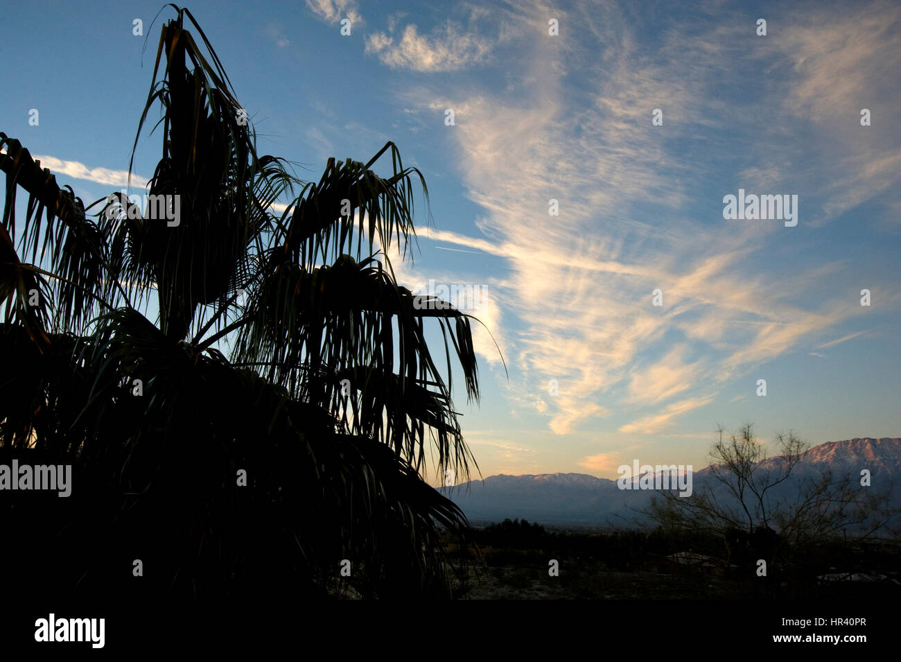 Alba nel Palm Desert, CA Foto Stock