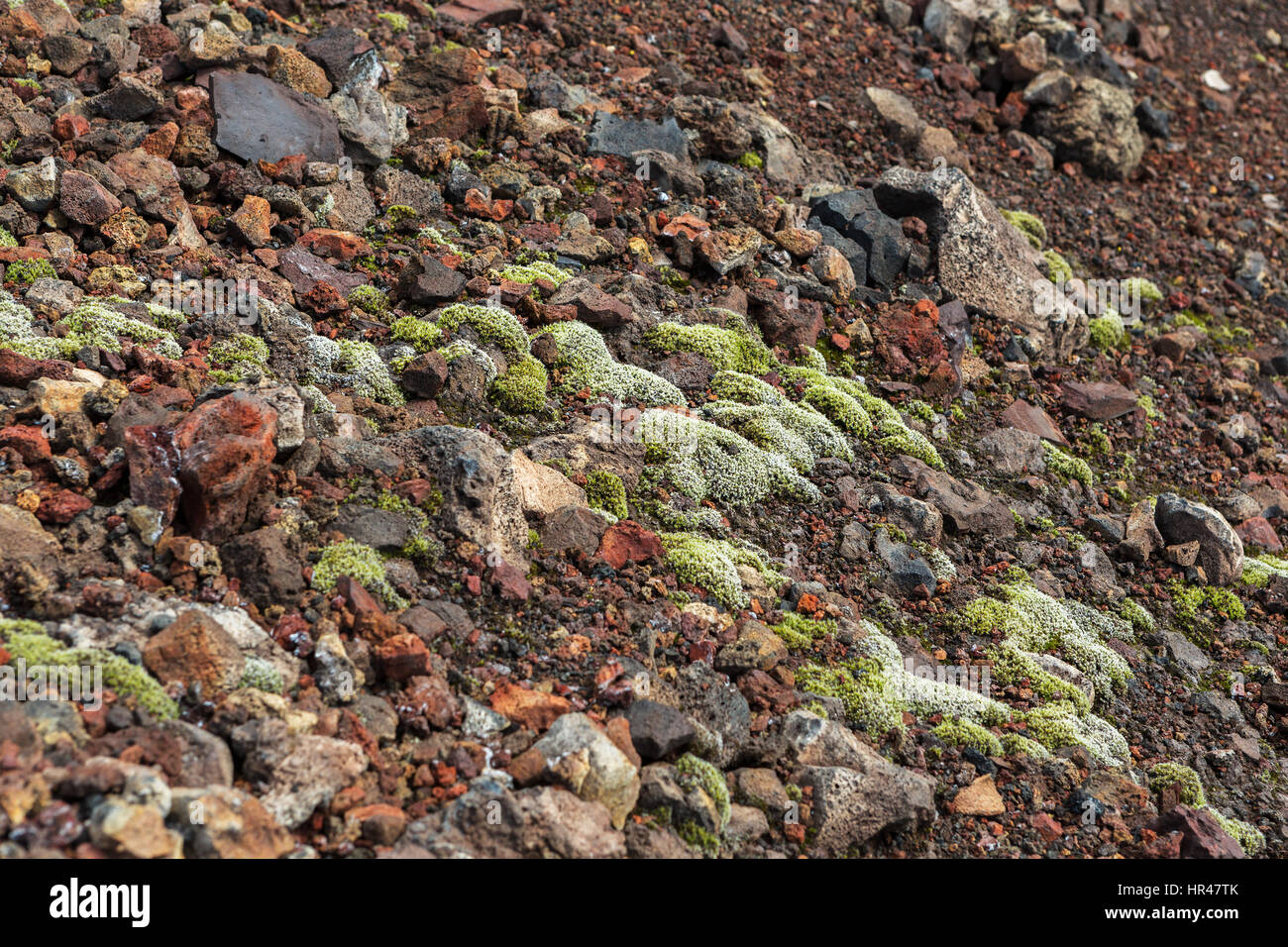 Congelate le emissioni vulcaniche coperte di muschio. Nord svolta grande Tolbachik eruzione fissurale 1975 Foto Stock
