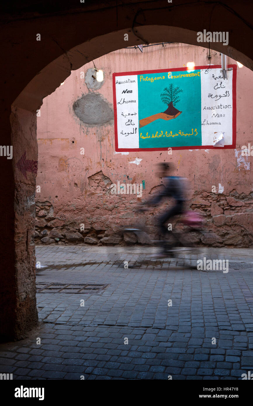 Marrakech, Marocco. Via Medina Scena, Poster sollecitando la tutela dell'ambiente. Foto Stock