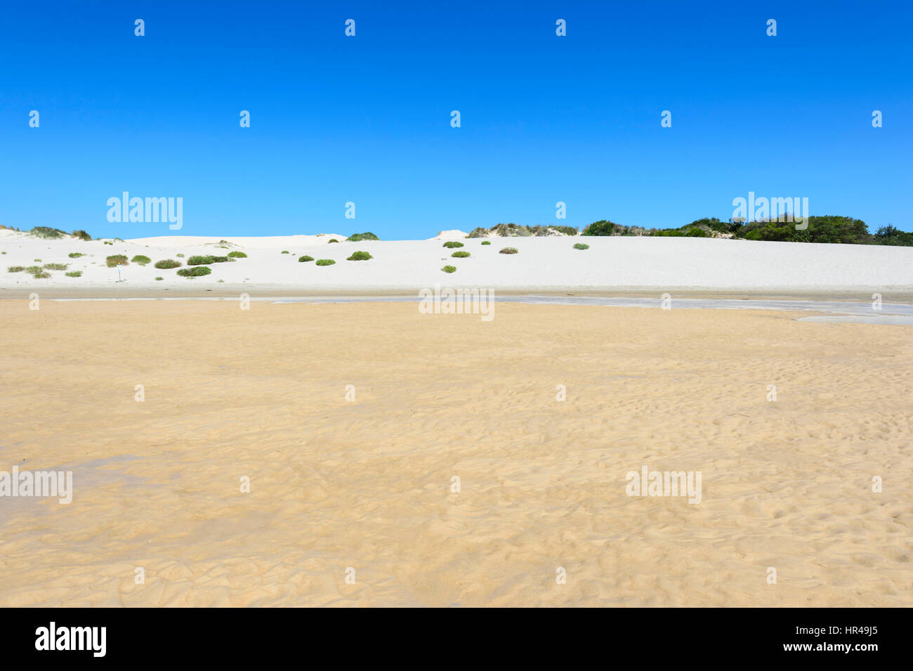 Le dune di sabbia in spiaggia Conjola, Shoalhaven, South Coast, Nuovo Galles del Sud, NSW, Australia Foto Stock