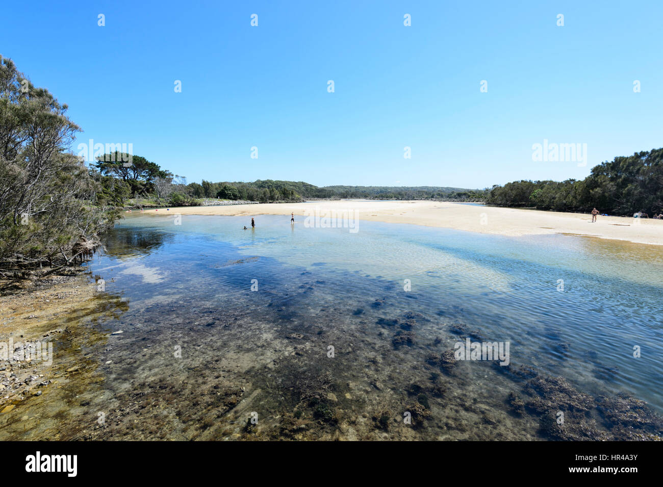 Laguna costiera off Dalmeny Beach, Dalmeny, Nuovo Galles del Sud, Australia Foto Stock