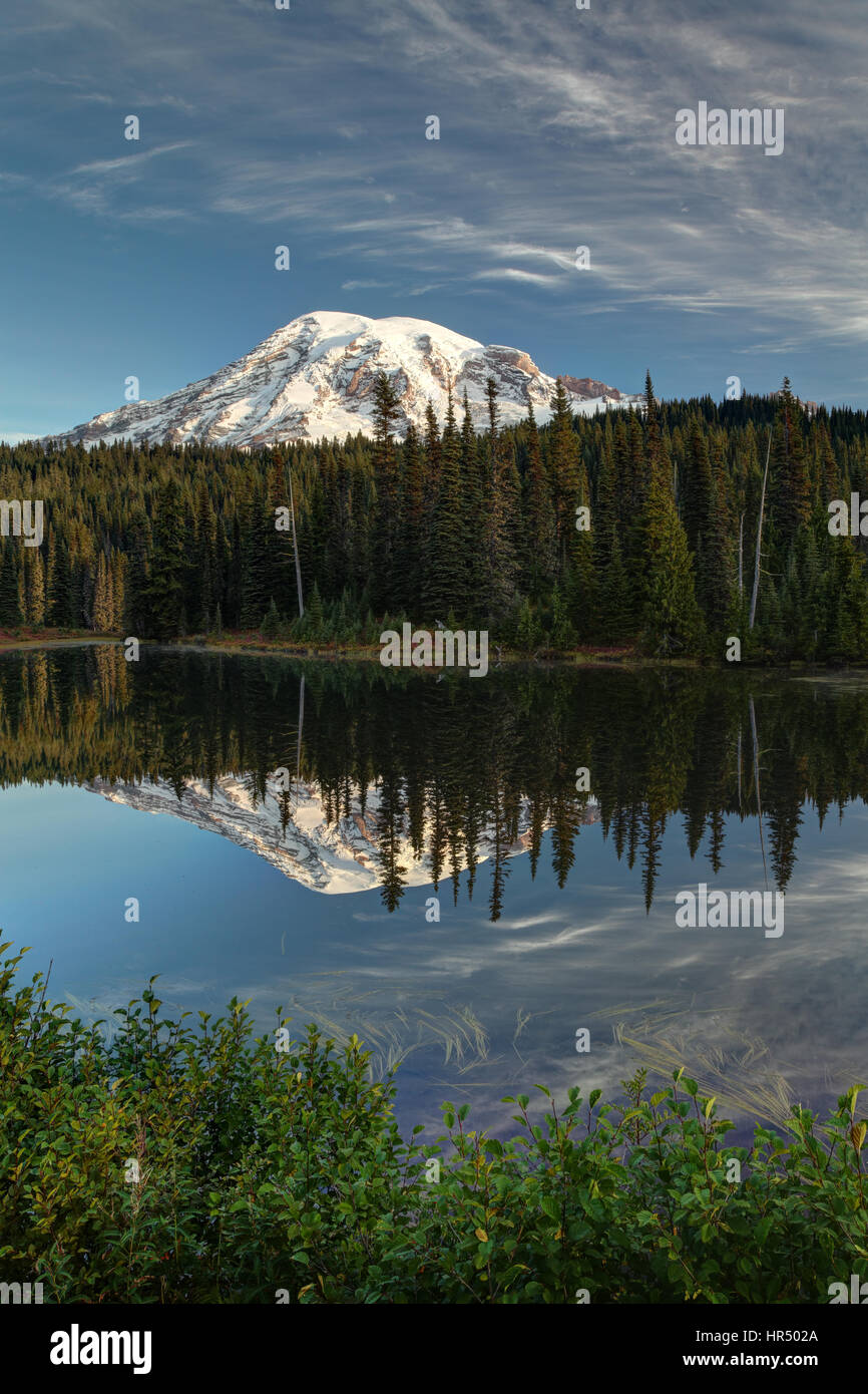 Mount Rainier riflessa nel lago di riflessione, il Parco Nazionale del Monte Rainier, Washington, Stati Uniti d'America Foto Stock