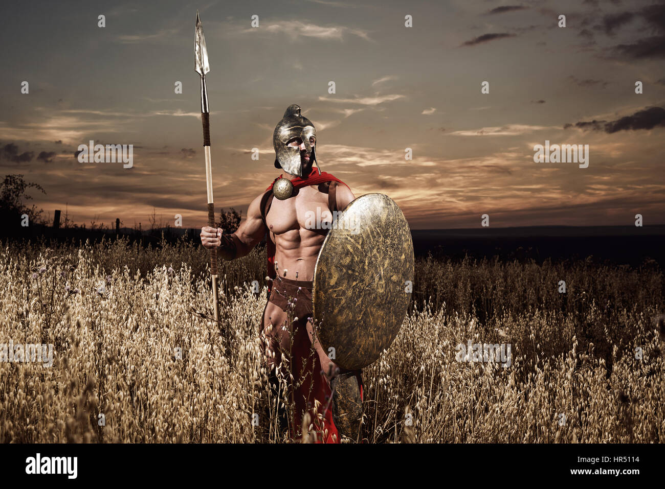 Calma ma pericolosa. Tonalità seppia colpo di un legionario romano nazionale guerriero nell antica battledress in piedi in campo guardando lontano armati di lancia Foto Stock