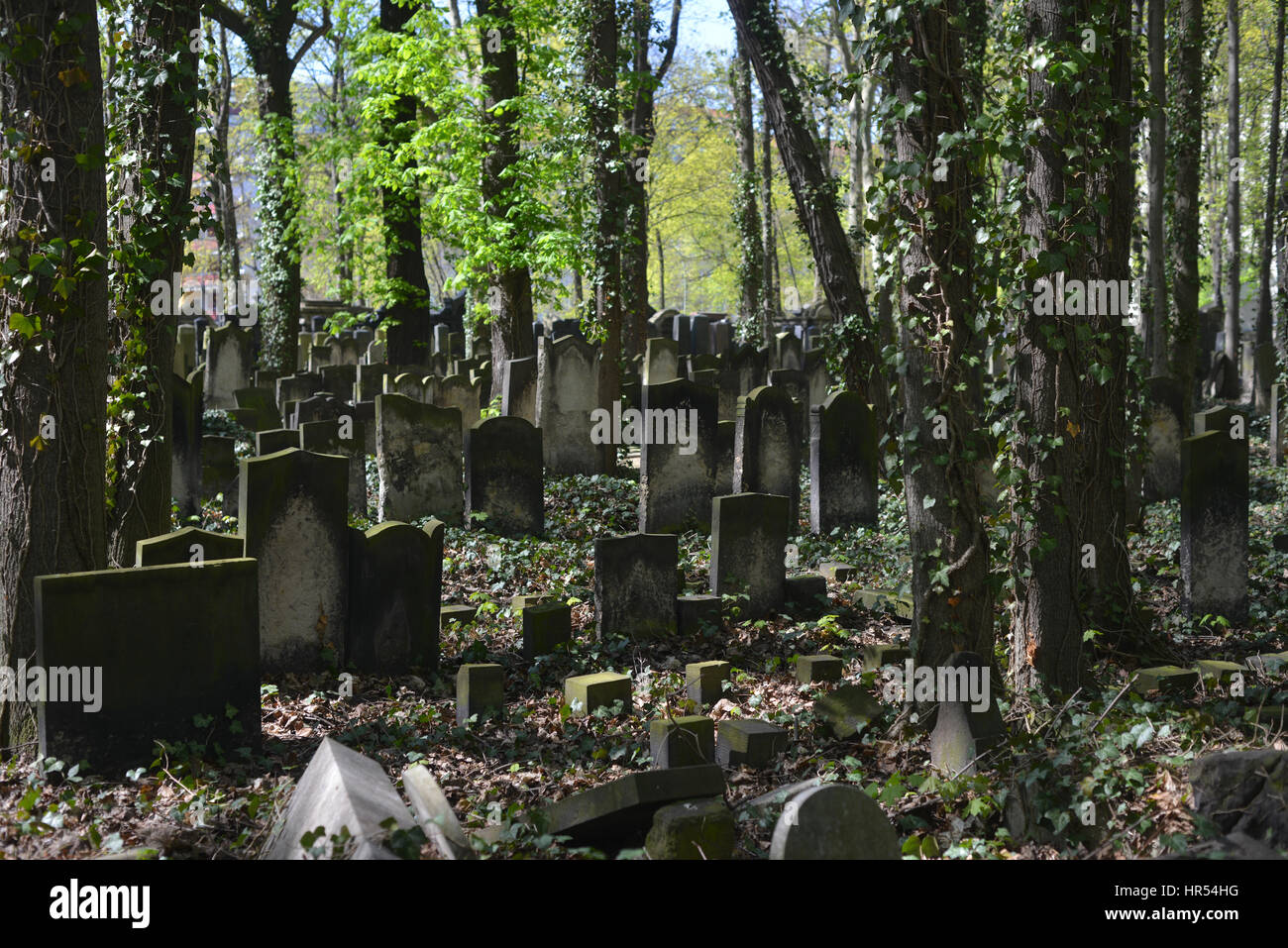 Aprile 2016: Berlino, Germania. Cimitero ebraico Foto Stock