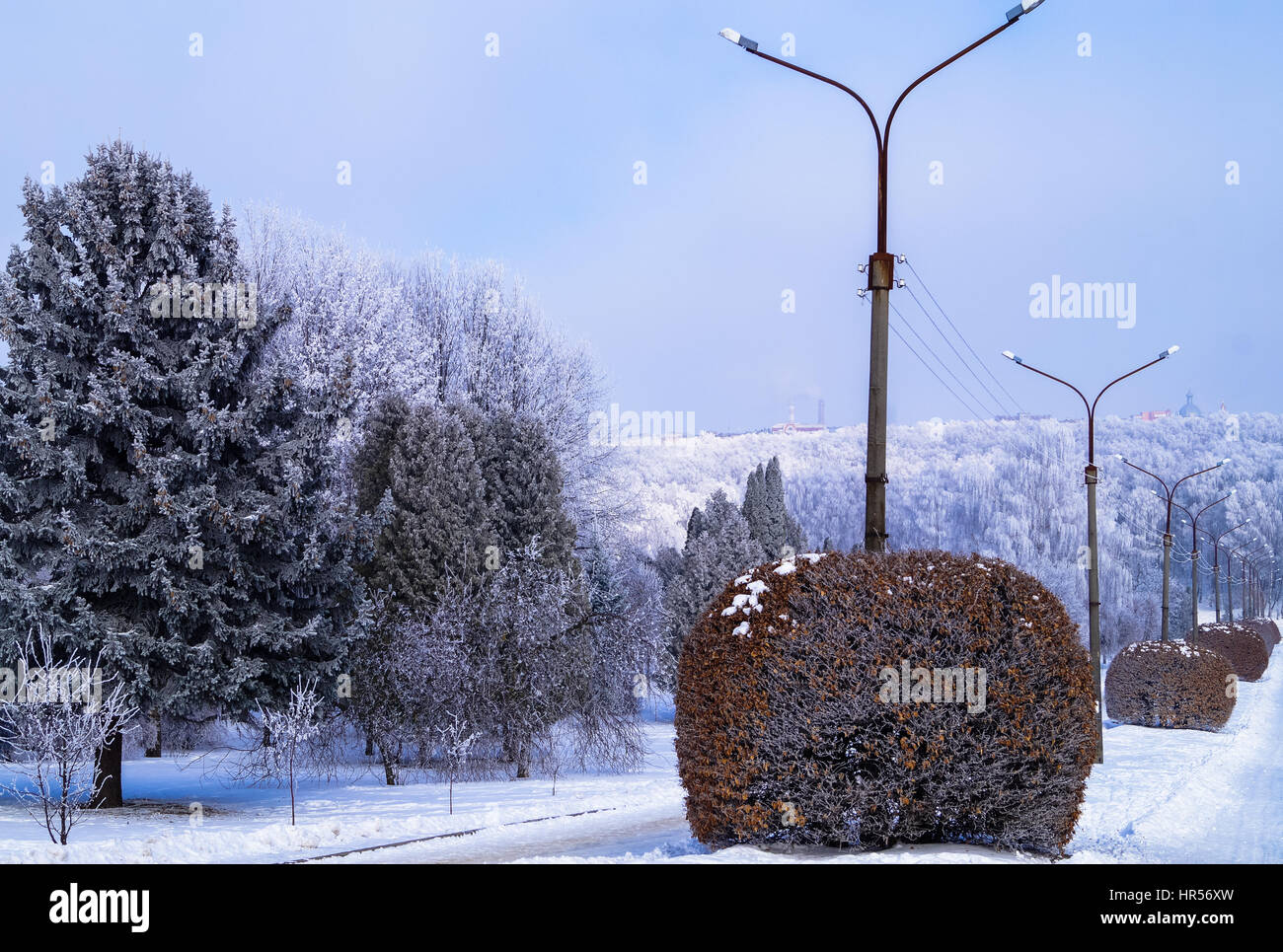 Paesaggio di inverno in un parco di una boccola a forma di sfera Foto Stock