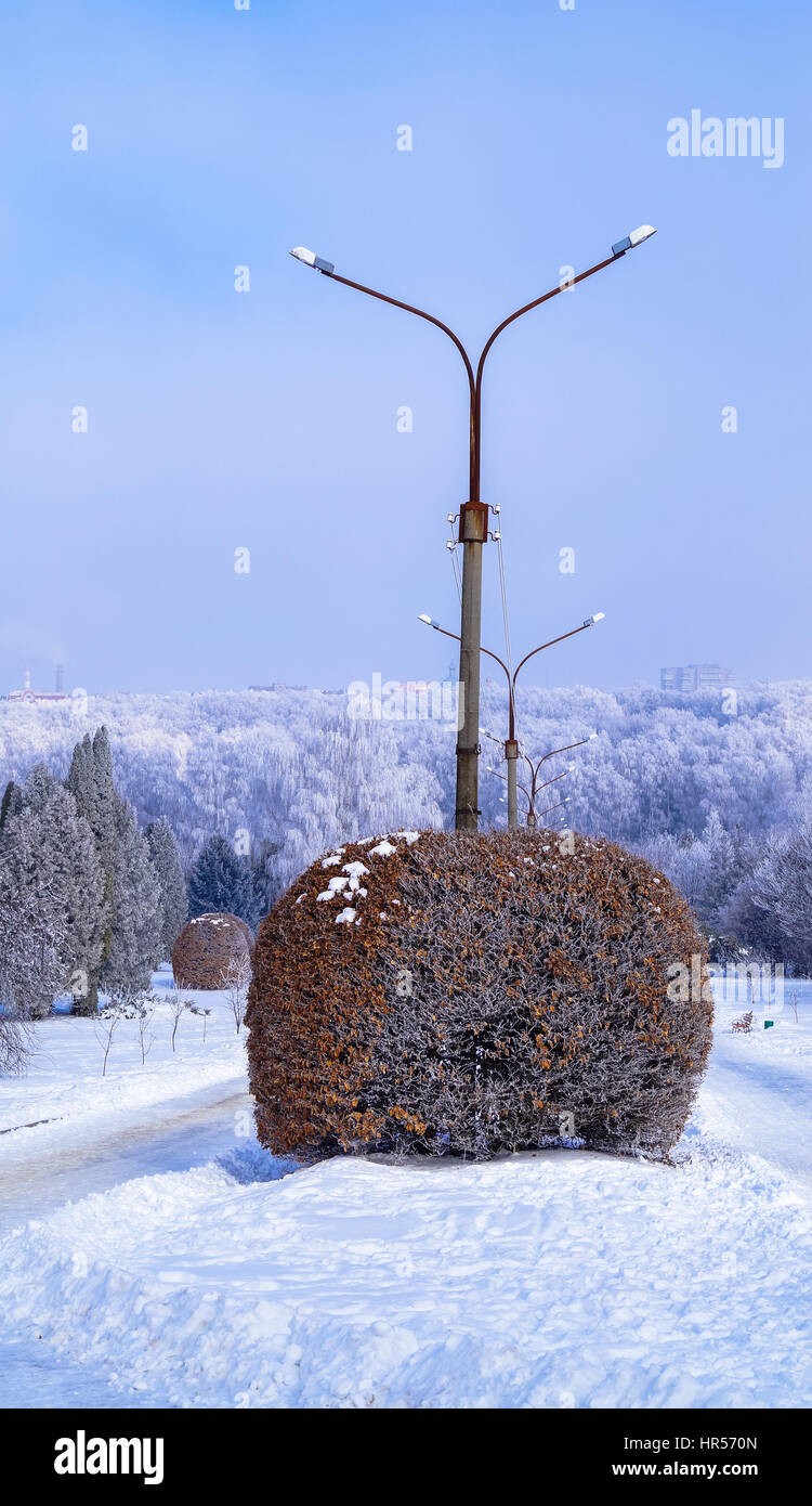 Paesaggio di inverno in un parco di una boccola a forma di sfera Foto Stock