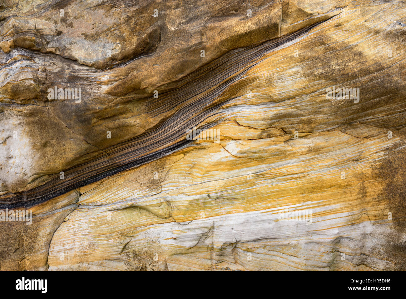 In prossimità delle rocce di arenaria a Scarborough, North Yorkshire, Inghilterra. Foto Stock