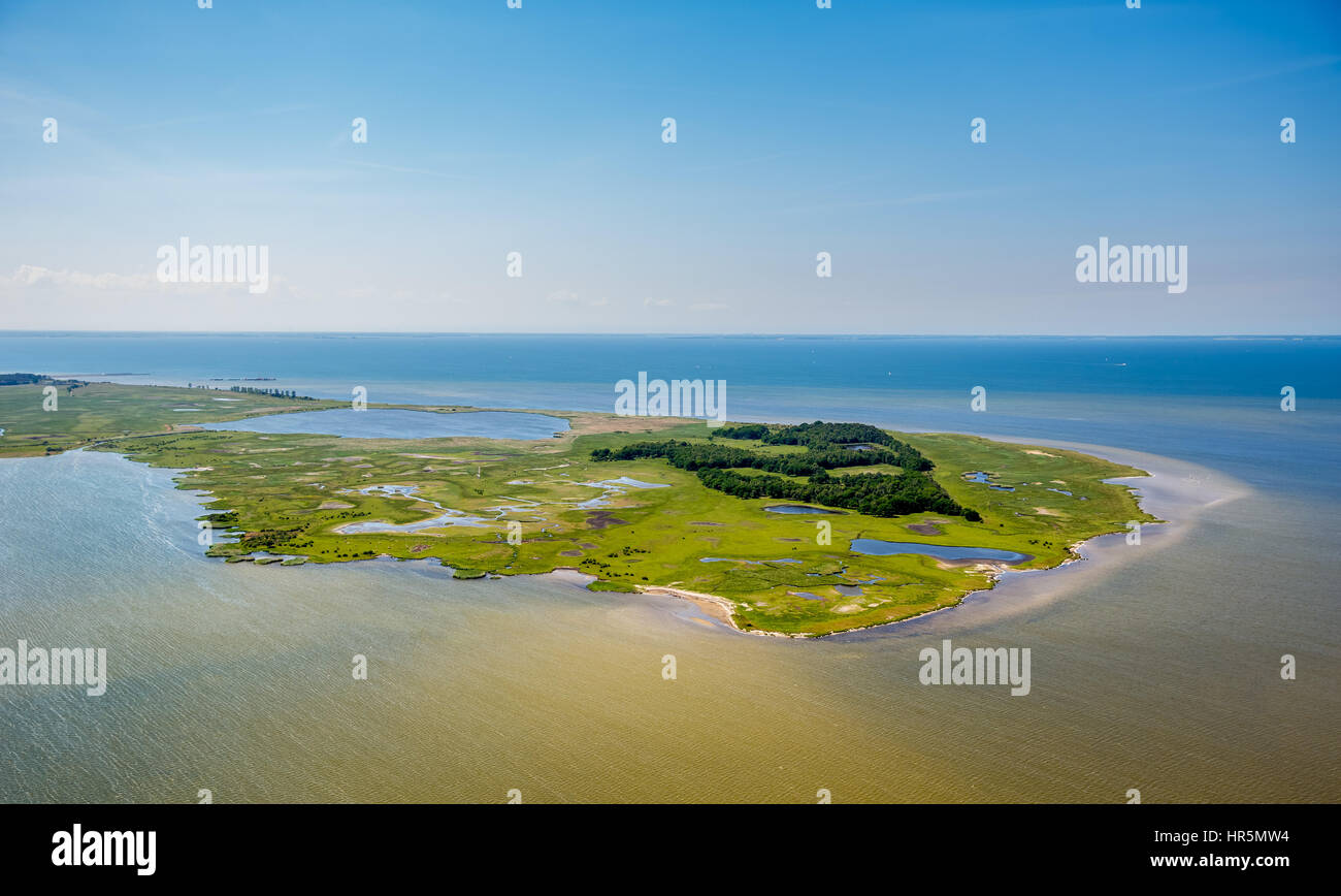 Riserva naturale della penisola, ha colpito Freesendorfer vedere, isola di Usedom, Peenemünde, Mar Baltico, Germania, Meclemburgo-Pomerania Occidentale Foto Stock
