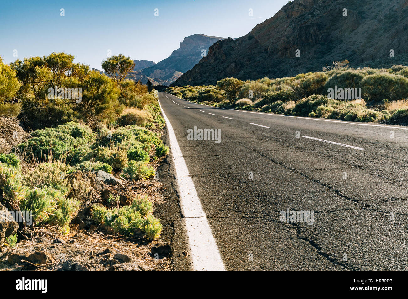 Panoramica strada vuota con le montagne sullo sfondo, Tenerife, Isole canarie, Spagna Foto Stock