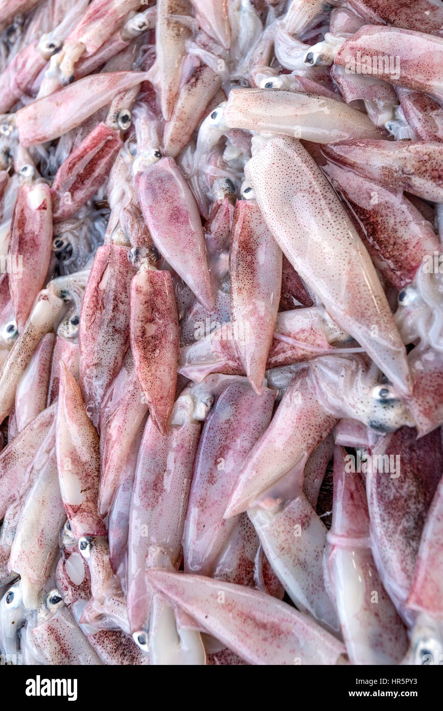 Crudo fresco calamari al mercato del pesce in Asia Foto Stock