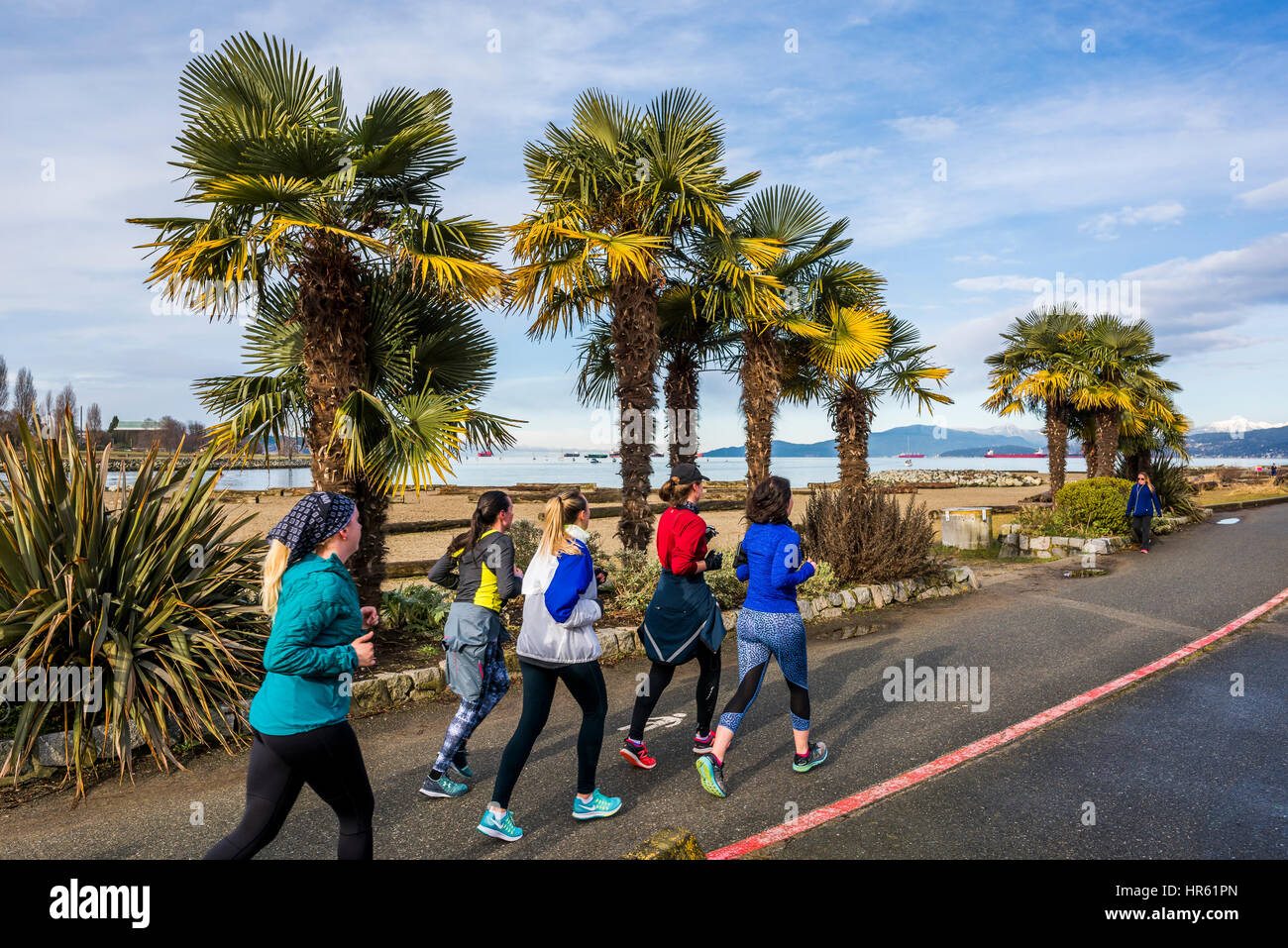 Alberi di palma e per chi ama fare jogging, Sunset Beach, English Bay, Vancouver, British Columbia, Canada. Foto Stock