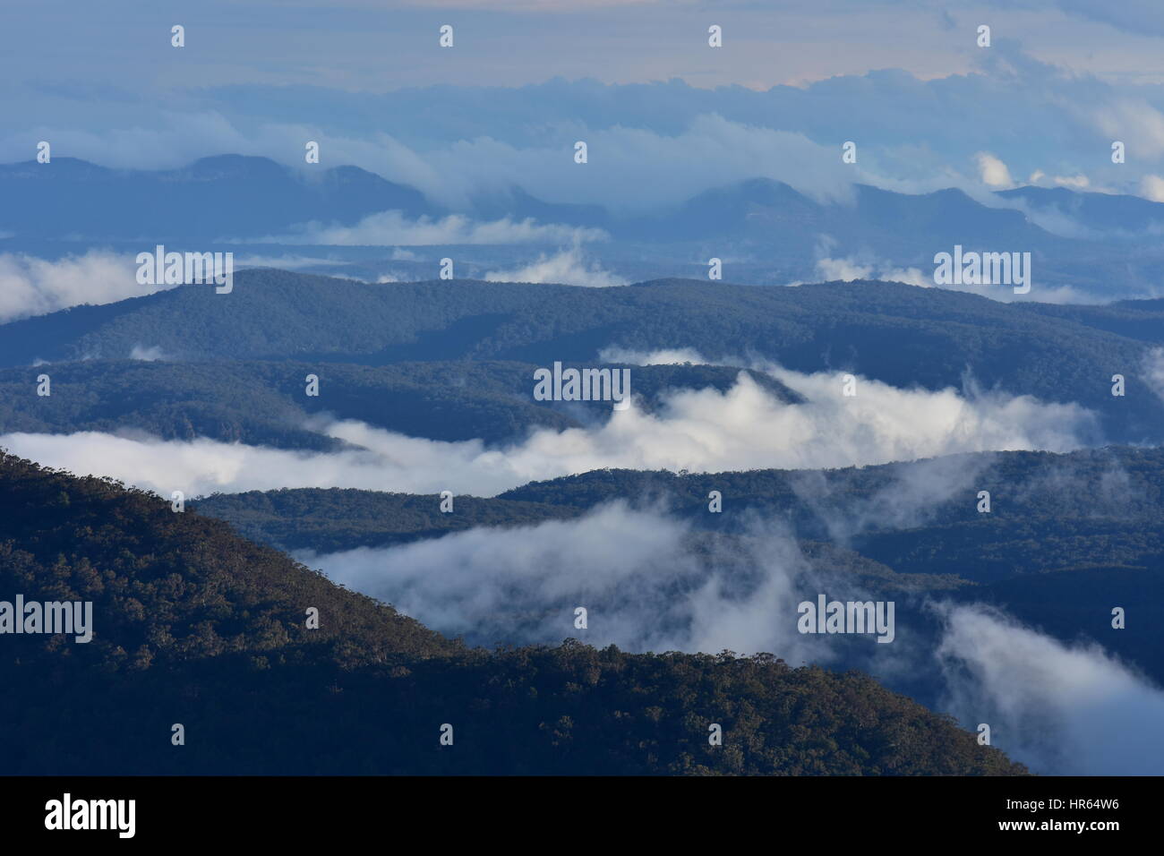Blue Mountains con patch di nuvole basse nella luce della sera. Foto Stock