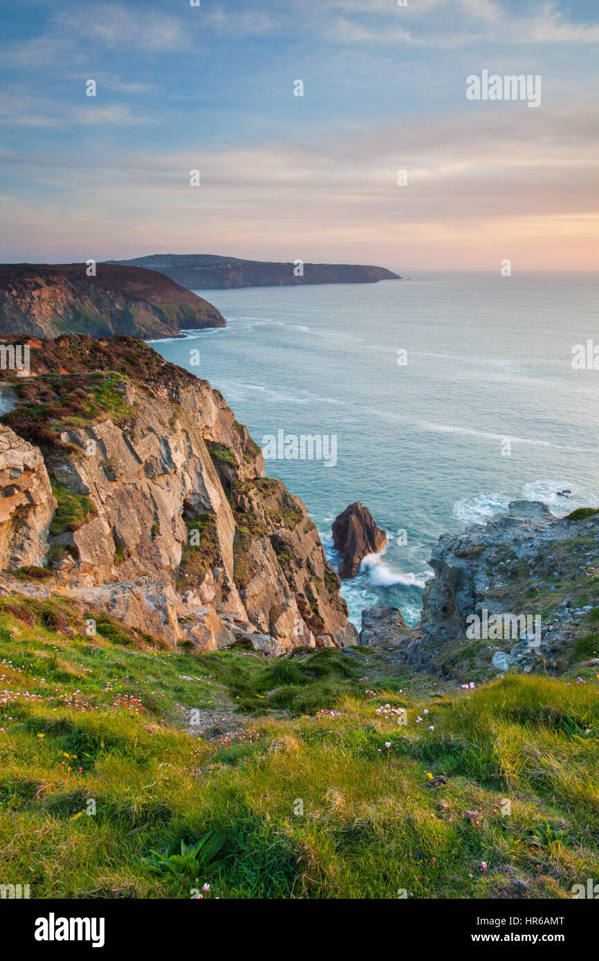 La drammatica e sbriciolamento scogliere a Cligga sentire, vicino a Perranporth, Cornwall. Foto Stock