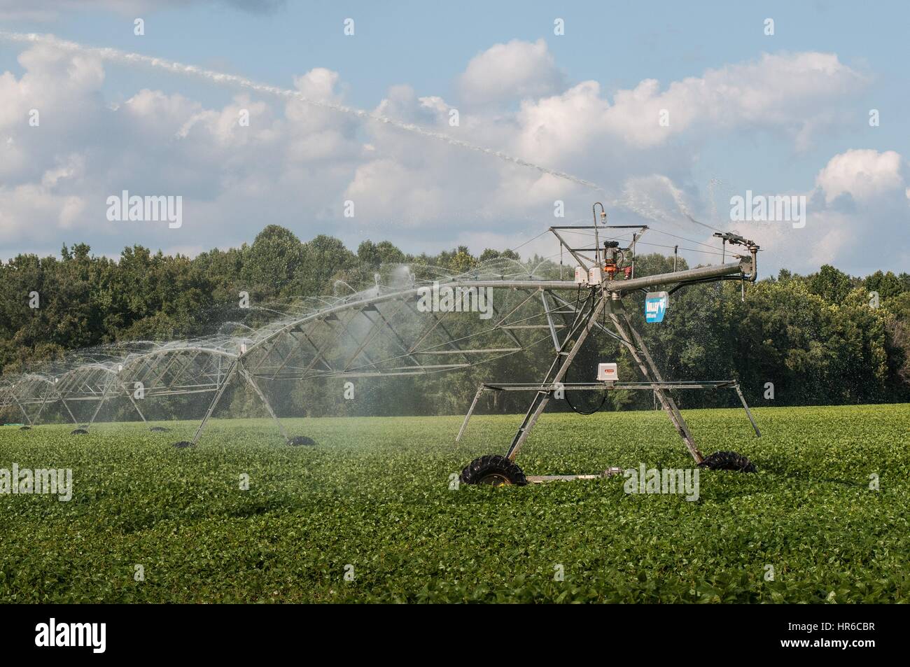 Irrigazione sprinkler, Hannover, Virginia, 2013. Immagine cortesia lancia Cheung/USDA. Foto Stock