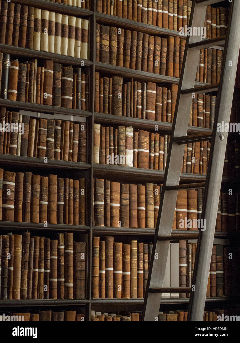 Una libreria con libri antichi nella sala lunga Libreria in Trinity College di Dublino, Irlanda Foto Stock