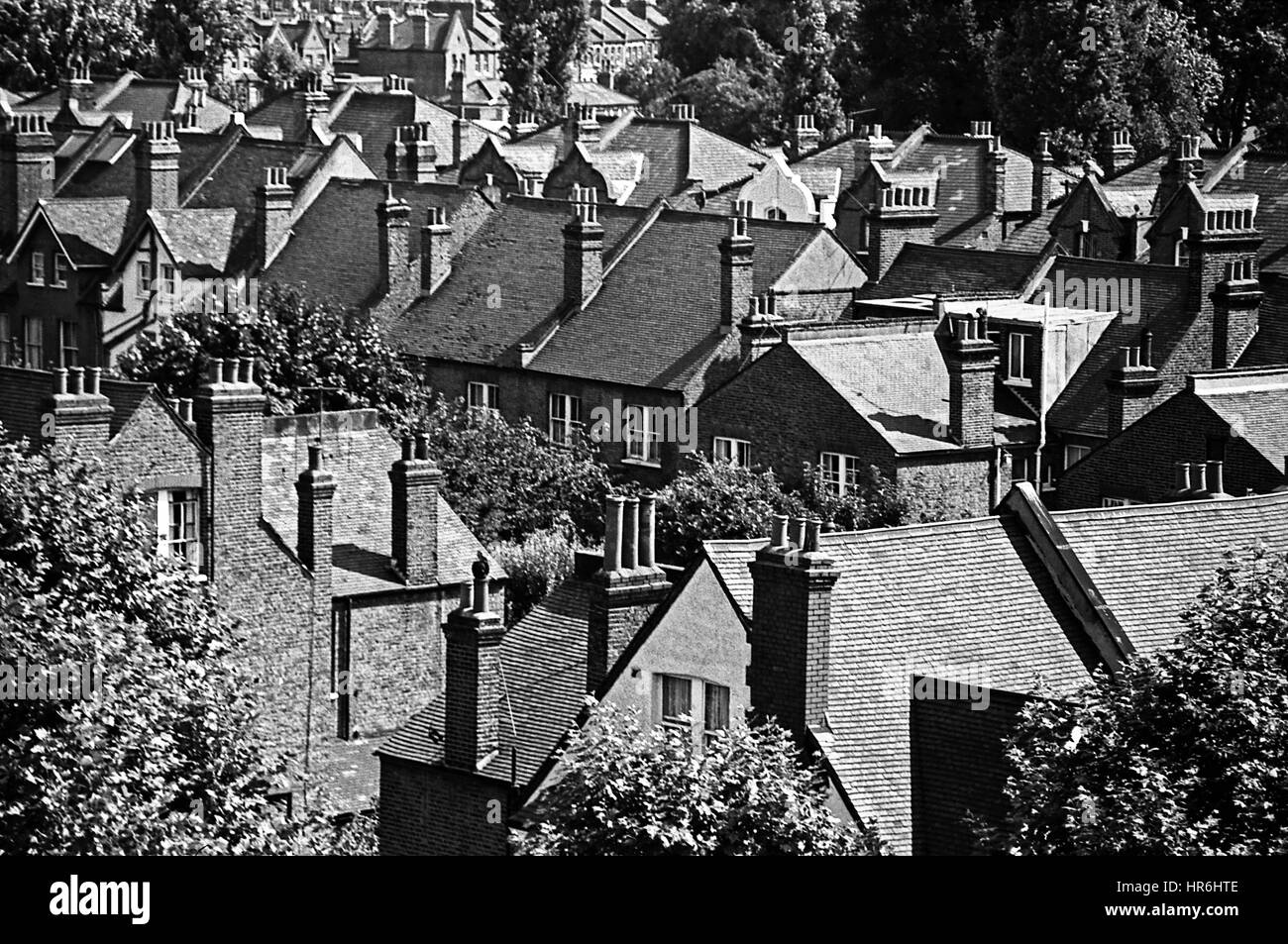 Roofs, Londra, 1971 Foto Stock