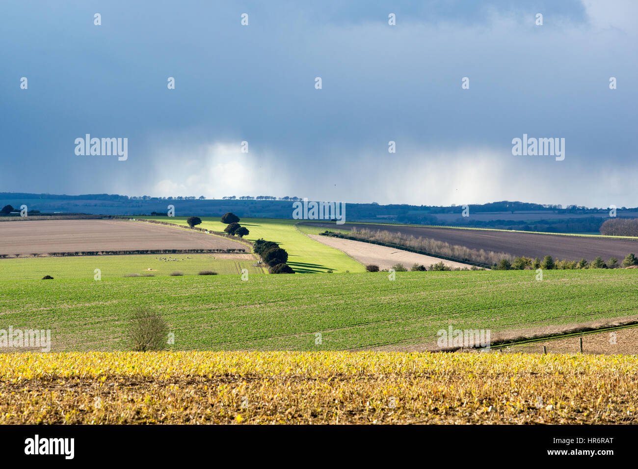 Forte pioggia e grandine di doccia sopra la Wessex campagna e terreni agricoli a Breamore, Hampshire, Regno Unito Foto Stock