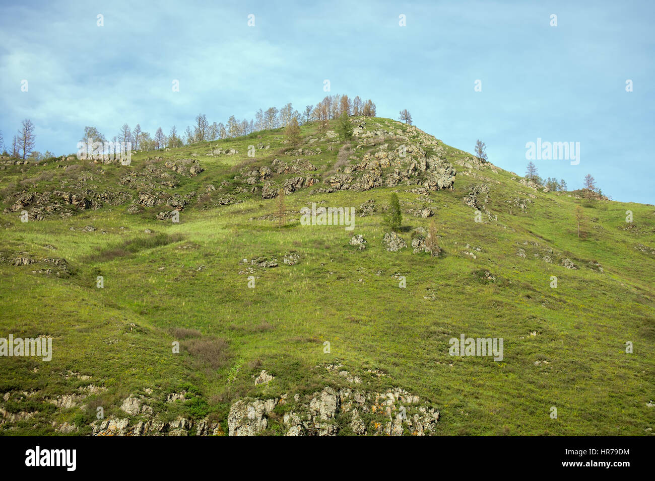 Montagne di Altai. Viste tipiche di prati e montagne della foresta Foto Stock