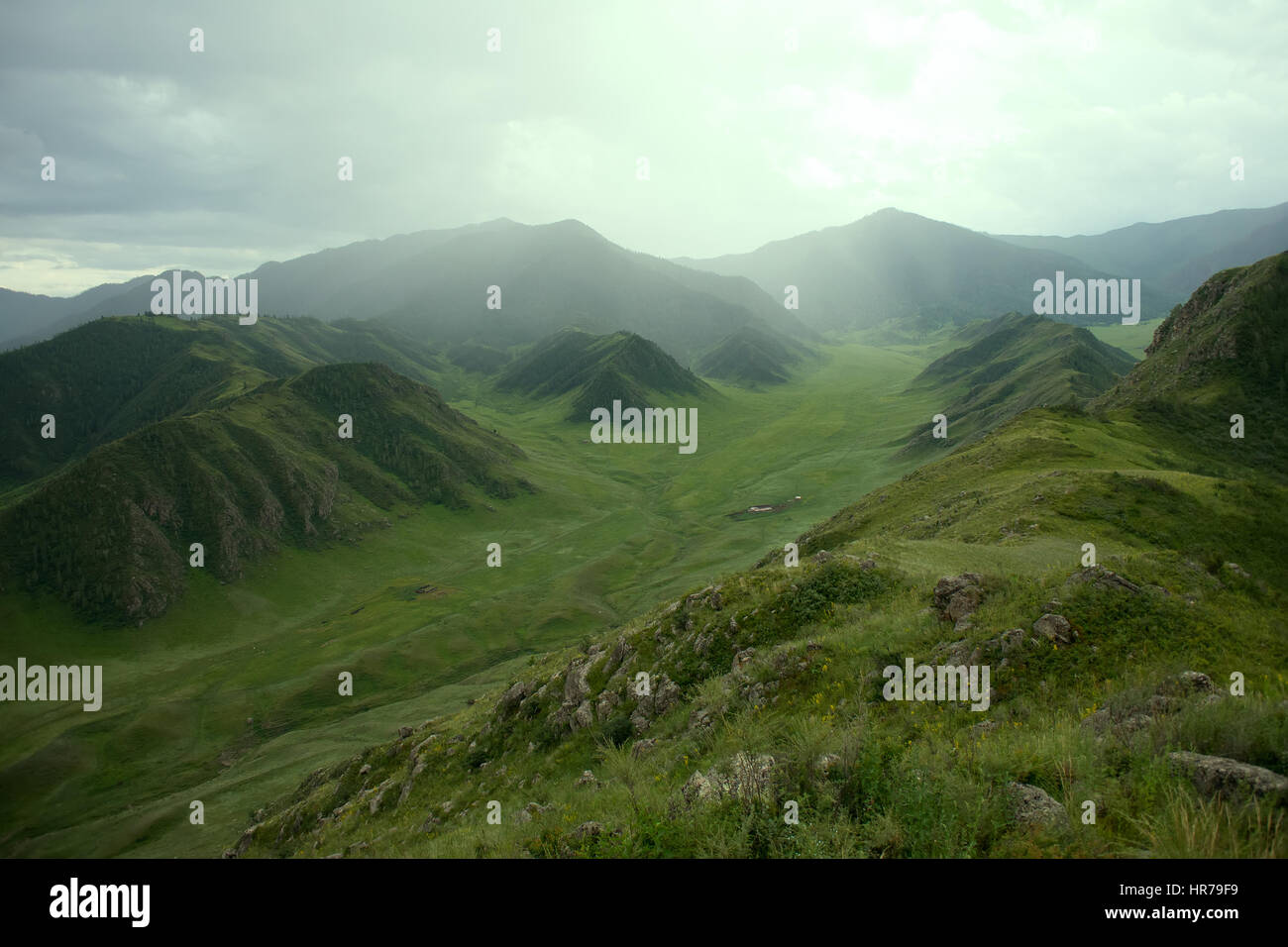 Montagne di Altai. Viste tipiche di prati e montagne della foresta Foto Stock