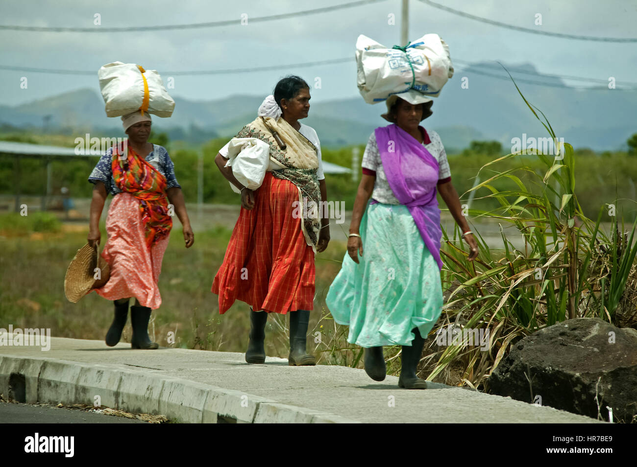 Le donne portano carichi sulle loro teste, Mauritius, piantagione di tè, tè factory Bois Chéri, piantagione di tè, piantagione di tè, Bois cheri tea factory, raccoglitrice di tè Foto Stock