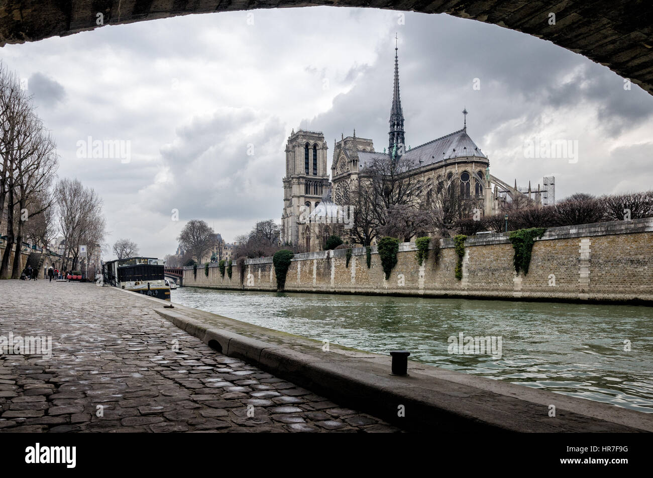 Parigi vista panoramica su Notre Dame e l'Ile de la Cite Foto Stock