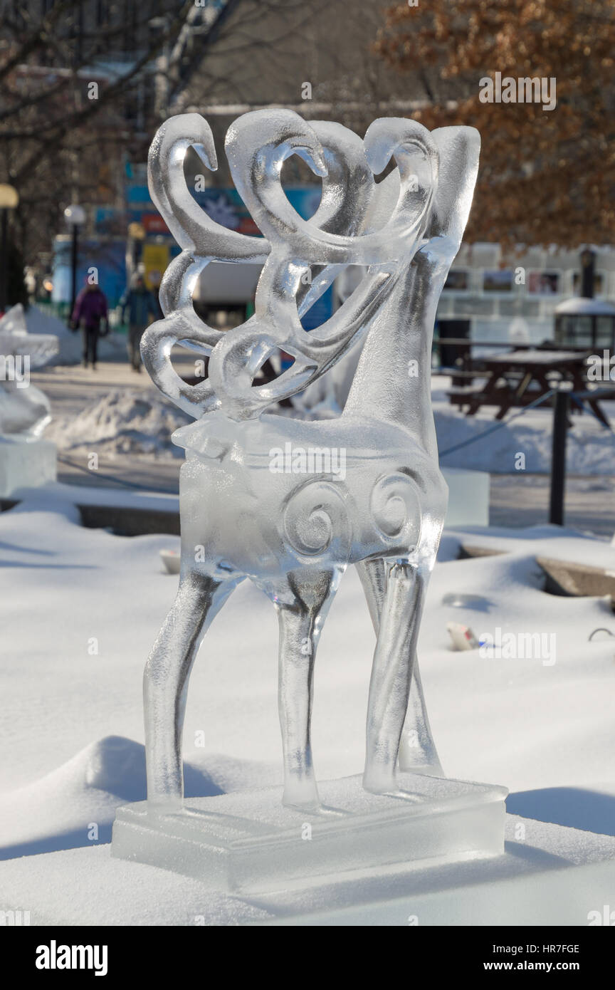 Sculture di ghiaccio a Ottawa, in una giornata di sole con city park dietro. Il ghiaccio scupltrure è di renne con la sua testa tesa fino e palchi all'indietro. Foto Stock
