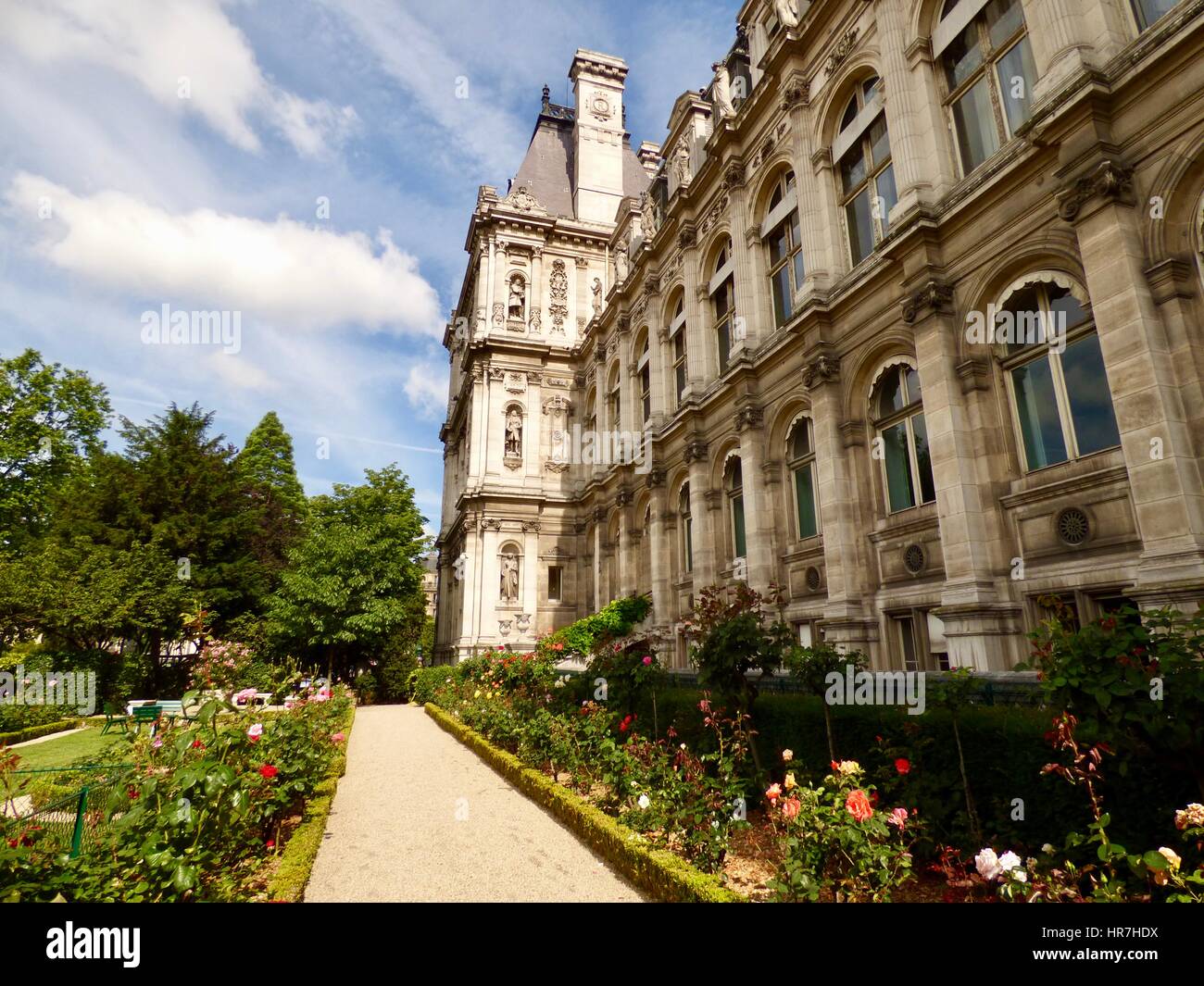 Le Rose in fiore nel giardino di lato della Mairie de Paris, l'Hôtel de Ville, il municipio di Parigi, Francia. Foto Stock