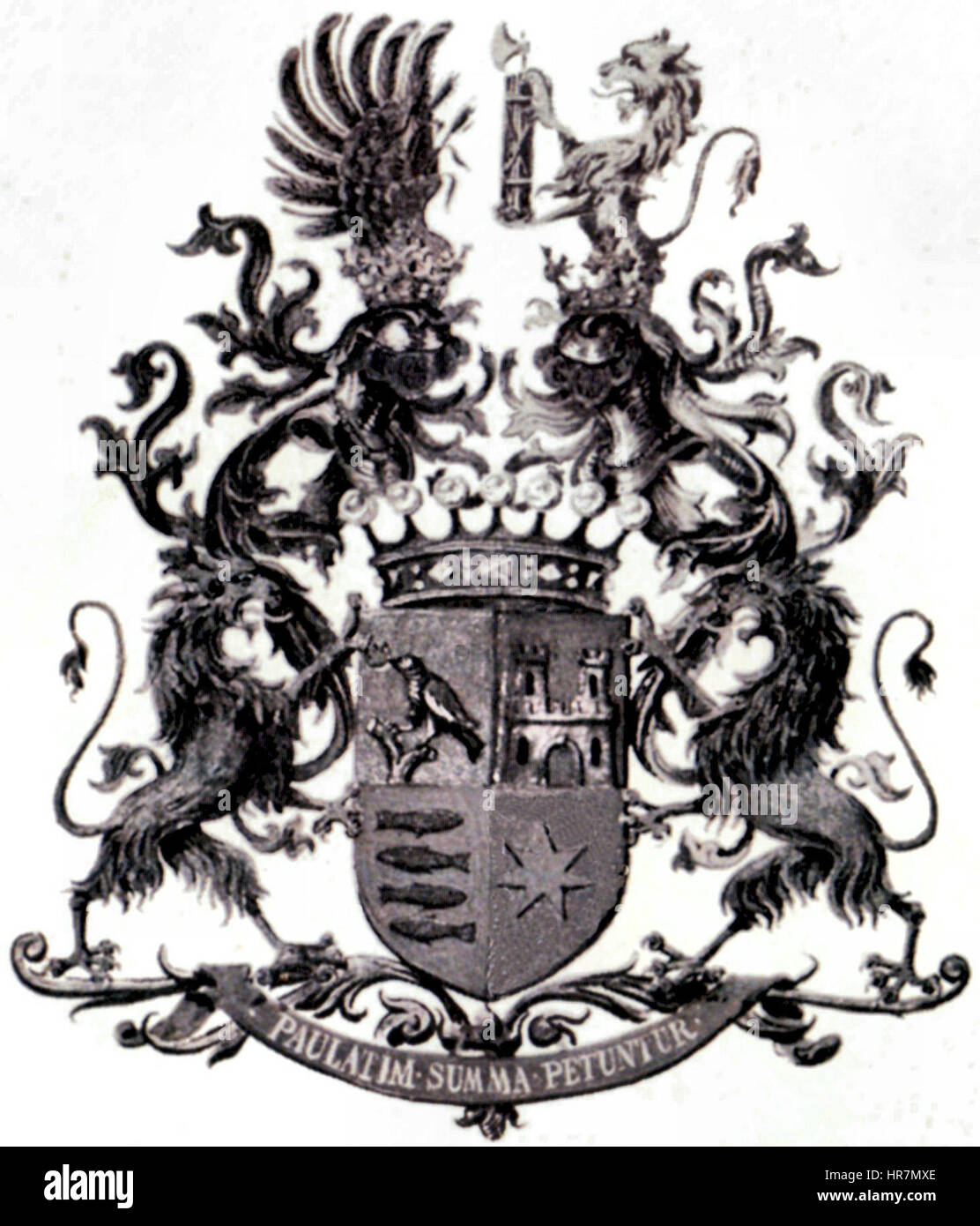 Il Wappen Kochanowski von Stawczan è uno stemma del XIX secolo, risalente al 1898. Rappresenta la nobile famiglia Kochanowski, a cui fu concesso questo simbolo araldico come parte del loro status nobile alla fine degli anni '1800 Foto Stock