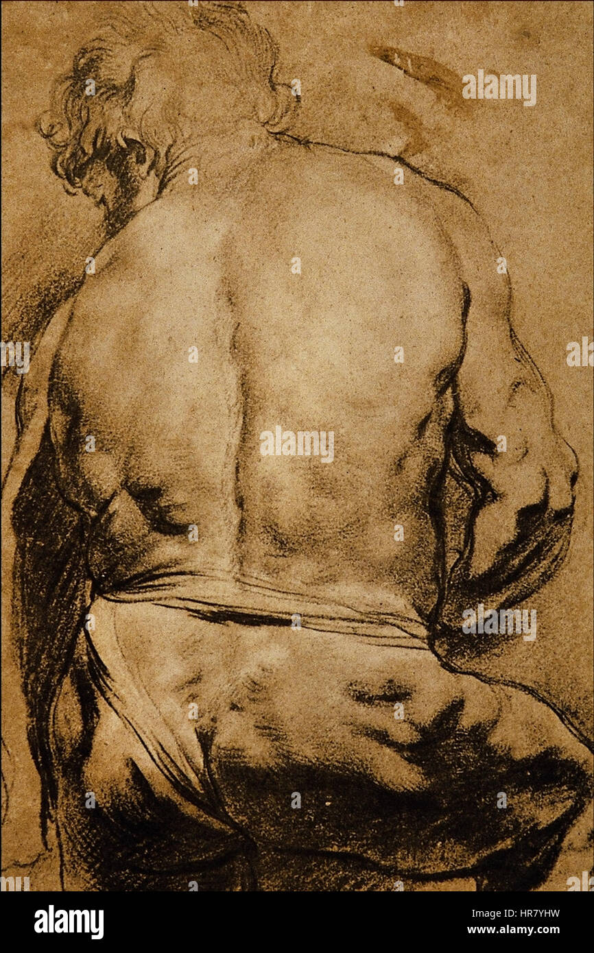 Studio di una figura maschile visto... - Sir Peter Paul Rubens Foto Stock