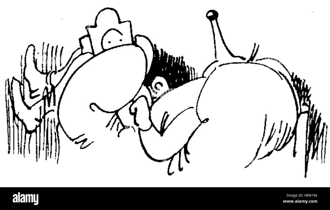 W Busch Der Haarbeutel 8h. Foto Stock