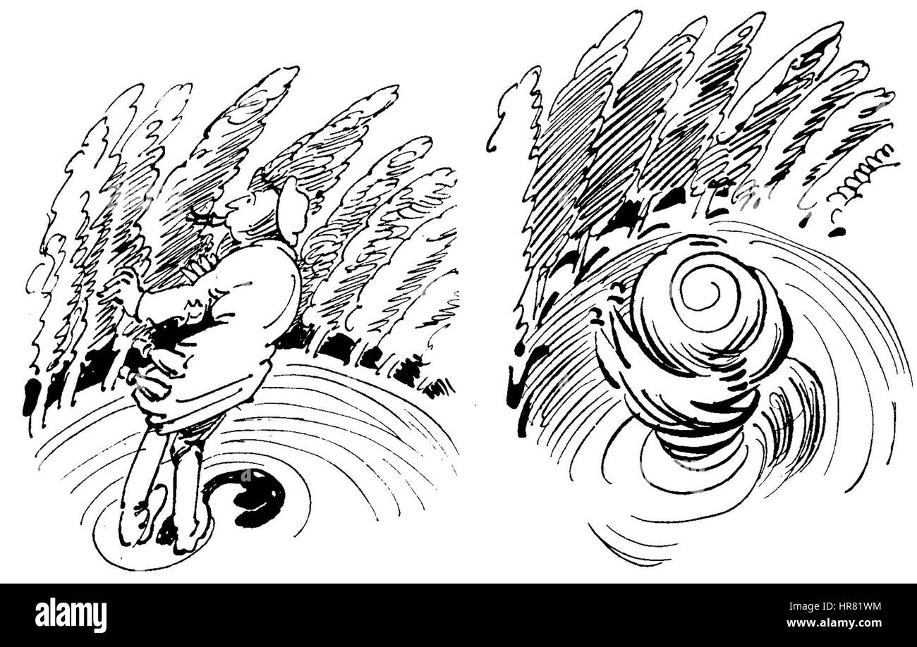 W Busch Der Haarbeutel 25 Foto Stock