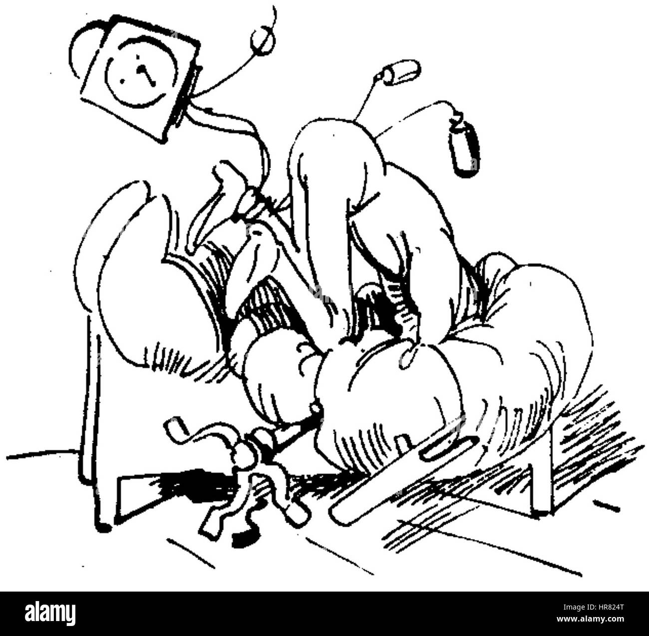 W Busch Der Haarbeutel 8F Foto Stock