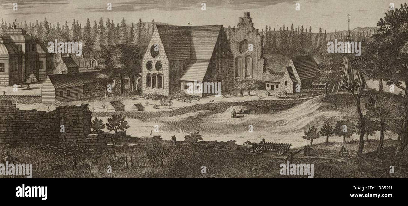 «Suecia 3-095» è un’incisione delle rovine dell’abbazia di Nydala, situata in Svezia. L'immagine cattura le drammatiche rovine dell'abbazia, riflettendo la storia architettonica medievale svedese e la presenza duratura di queste strutture. Foto Stock