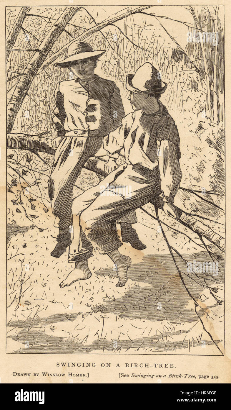 Oscillazione in una betulla (Boston Public Library) Foto Stock
