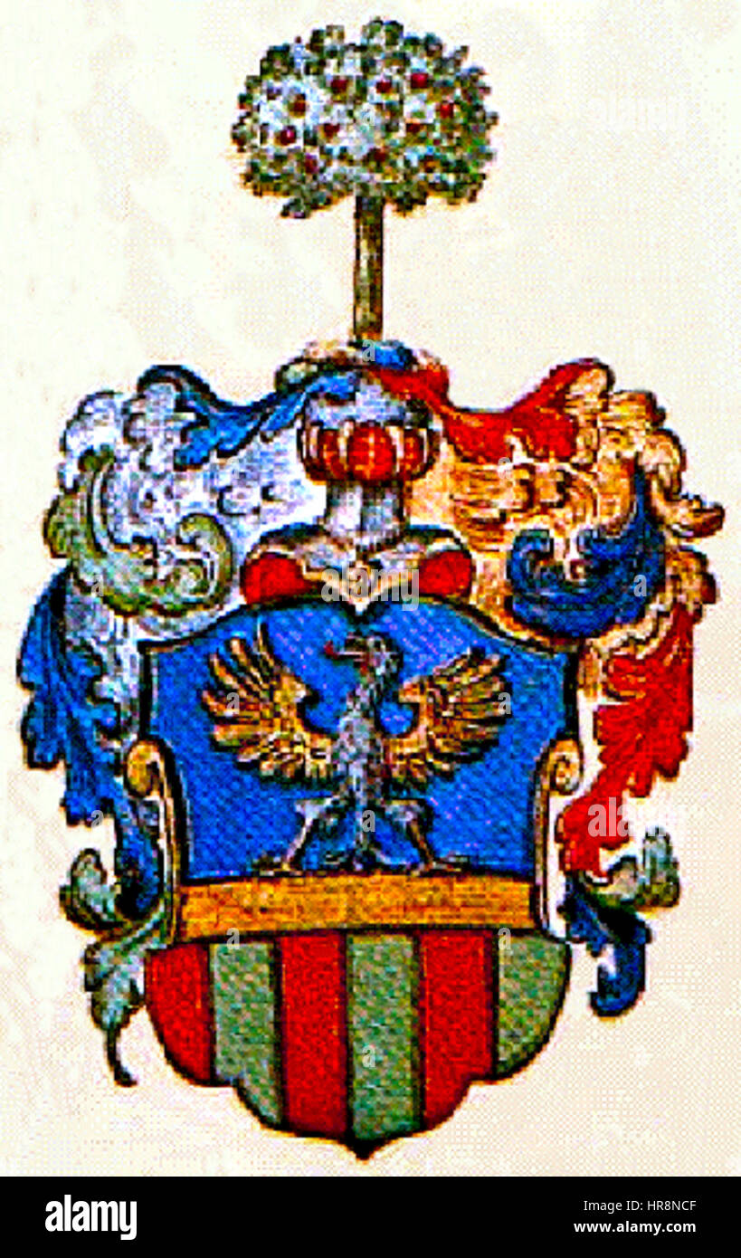 Wappen der Grafen von Alberti Poja im 17. Jahrhundert Foto Stock