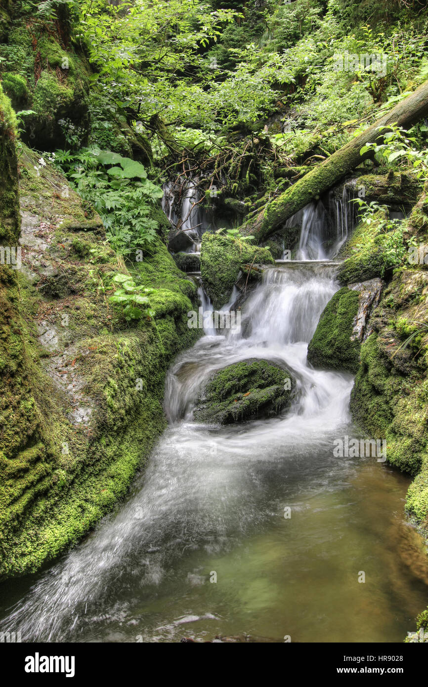 Cascate e rapide sul bianco Opava stream, Foto Stock