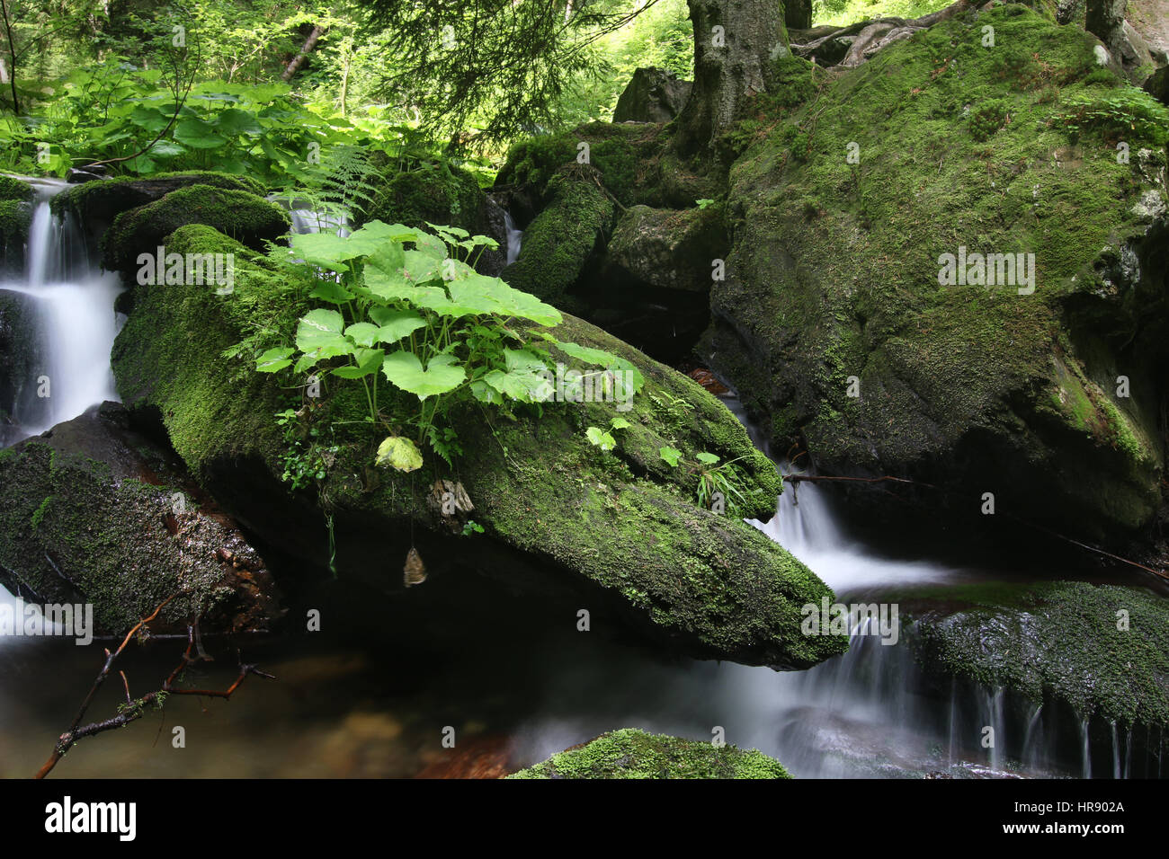 Massi e acqua corrente Foto Stock