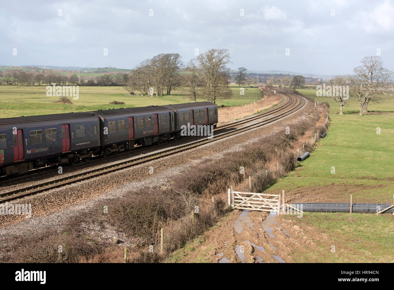 Un primo grande società occidentale treni passeggeri passando attraverso la campagna inglese a sud di Exeter in South Devon Regno Unito Foto Stock