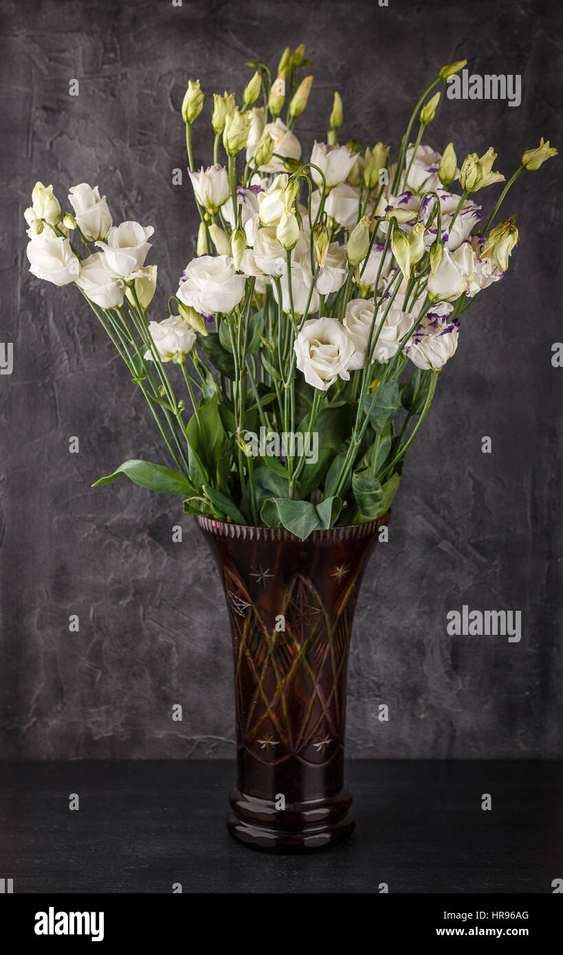 Bouquet di eustoma bianco fiori in vasi di vetro su sfondo blu scuro Foto Stock