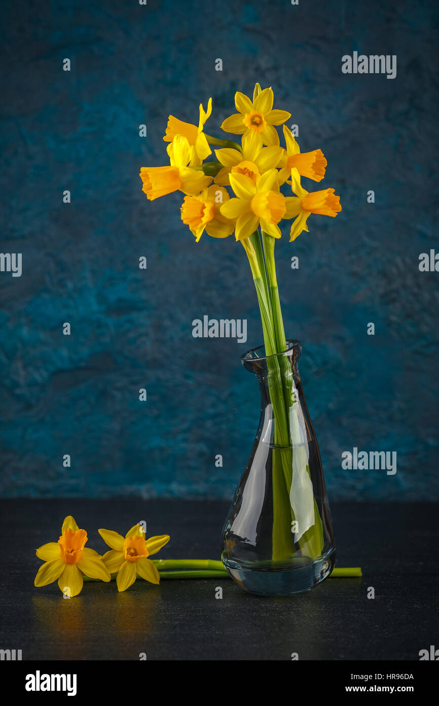 Molla luminoso giallo daffodils in miniatura in vasi di vetro Foto Stock