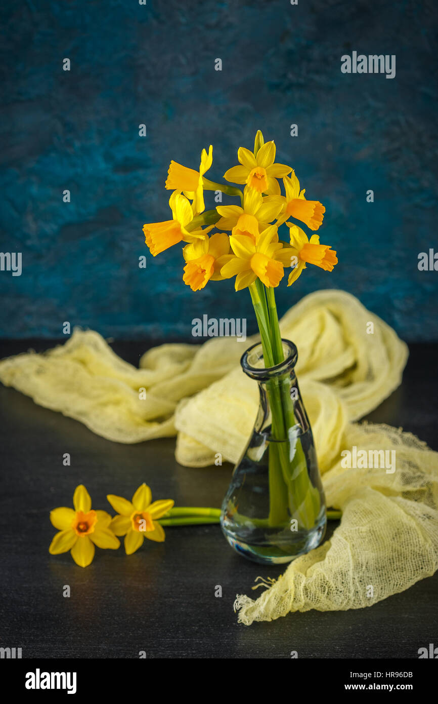 Molla luminoso giallo daffodils in miniatura in vasi di vetro Foto Stock