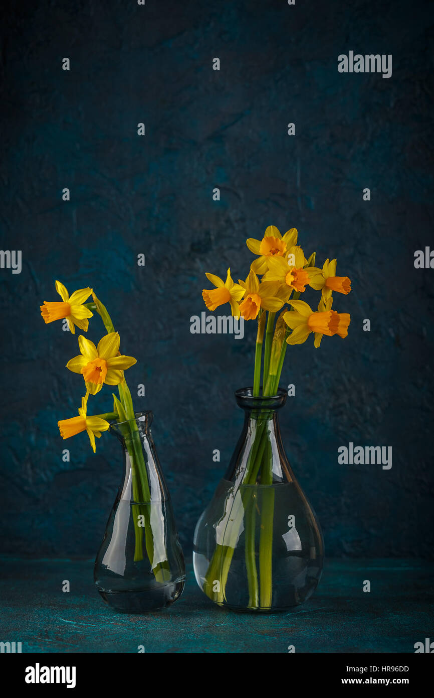 Molla luminoso giallo daffodils in miniatura in vasi di vetro Foto Stock