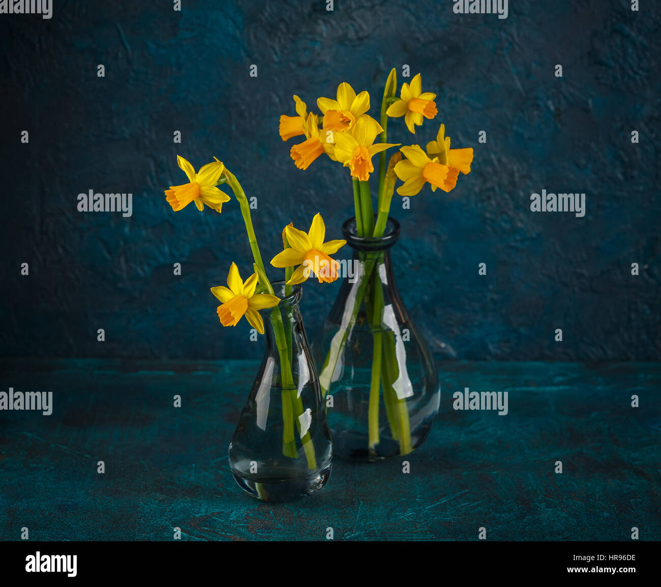 Molla luminoso giallo daffodils in miniatura in vasi di vetro Foto Stock
